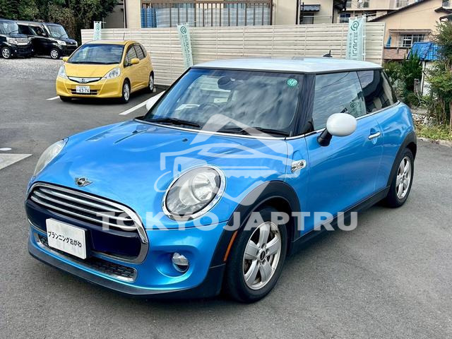 MINI MINI