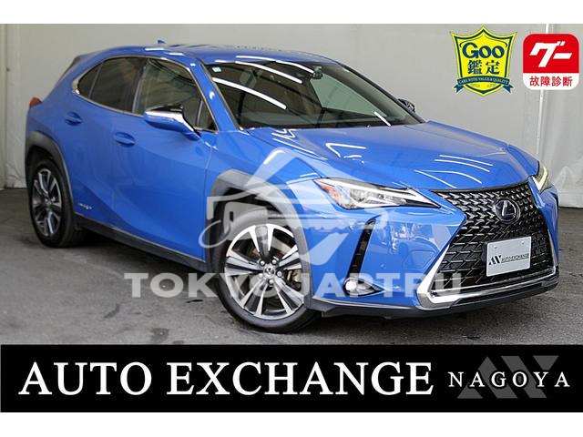 LEXUS UX