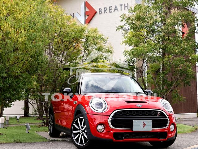 MINI MINI