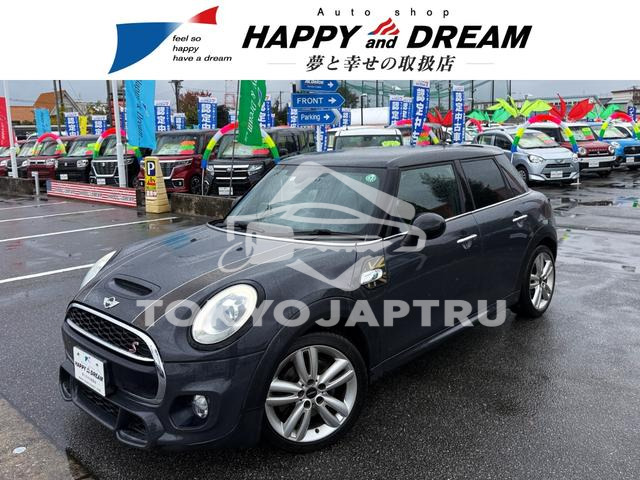 MINI MINI