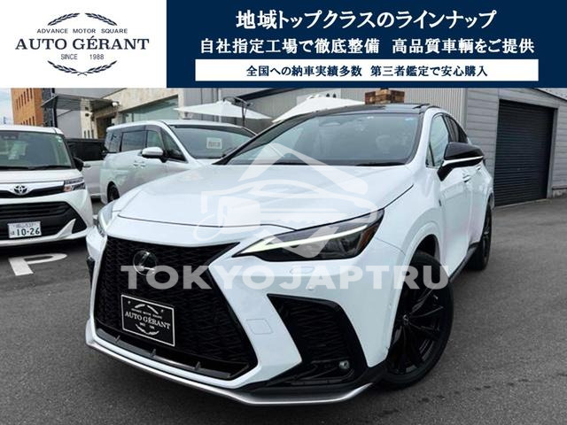 LEXUS NX