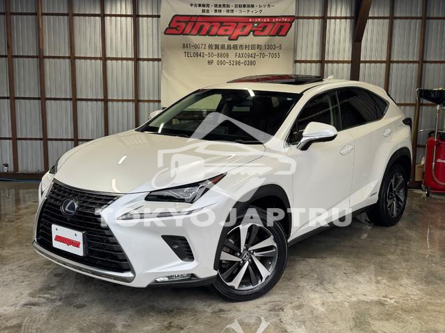 LEXUS NX