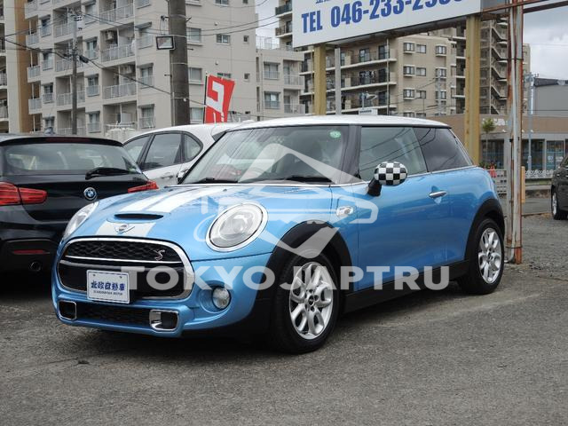 MINI MINI