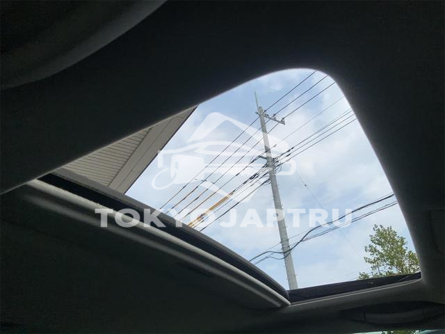 Image 13