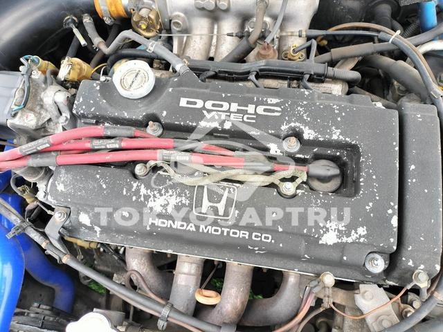 Image 8