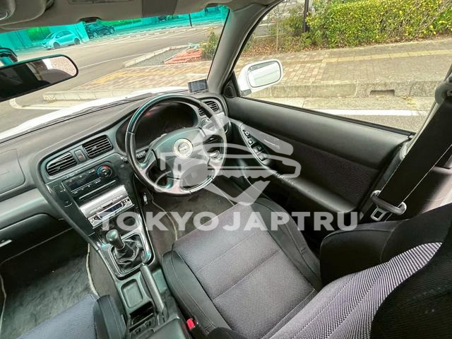 Image 8