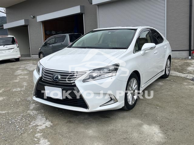 Image 15