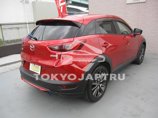 Image 8