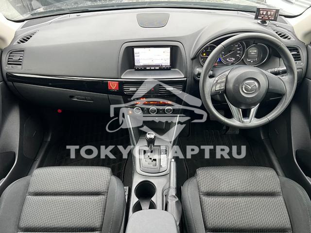 Image 7