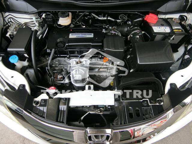Image 19