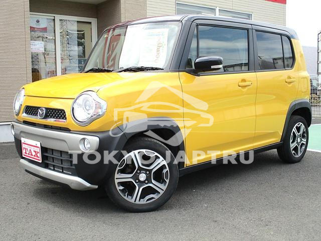 Image 7