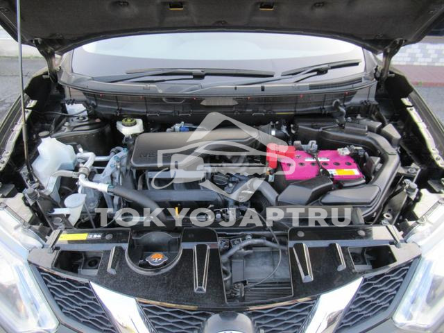 Image 19