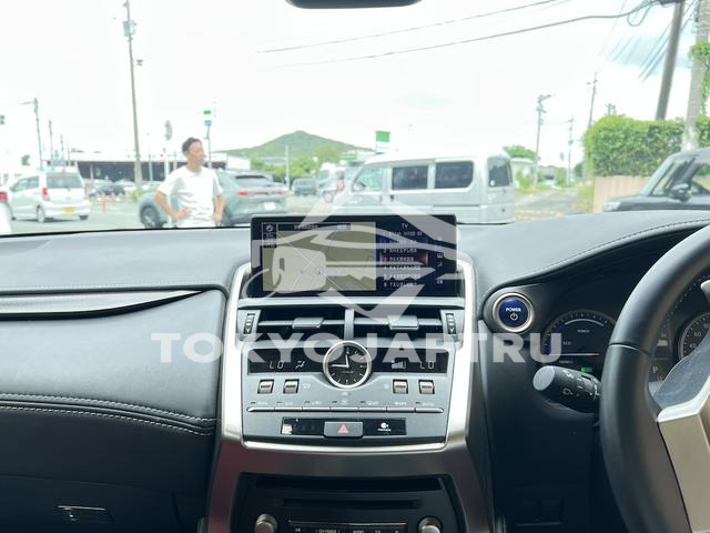 Image 4