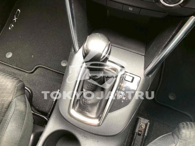 Image 7