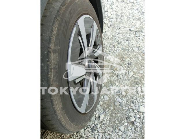 Image 12