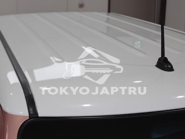 Image 7