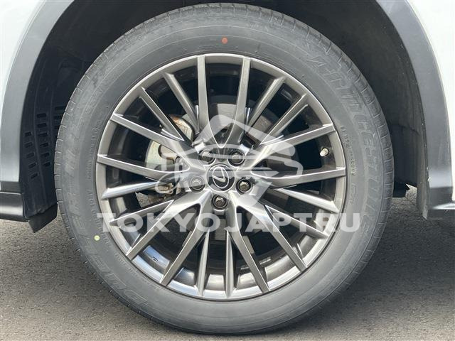 Image 9