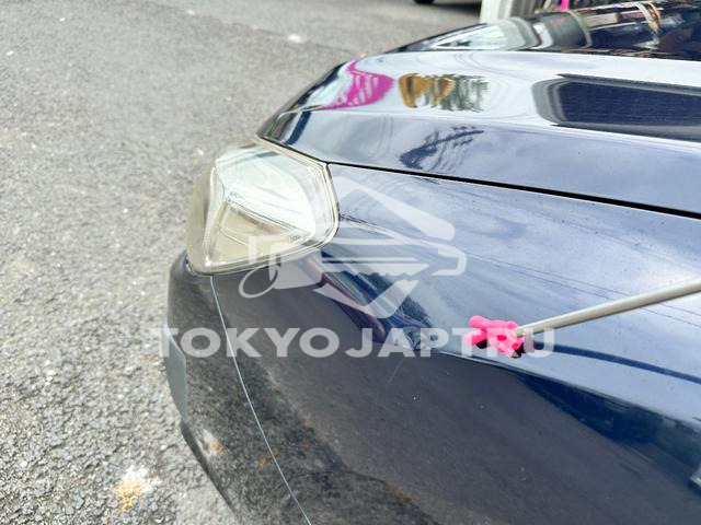 Image 11