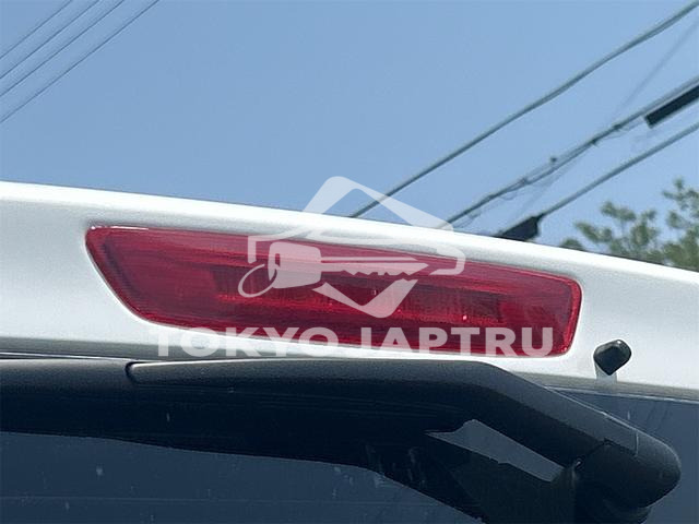 Image 13