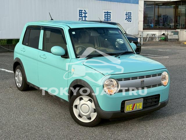 Image 7
