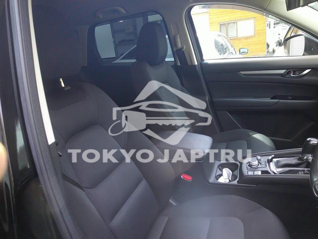 Image 6