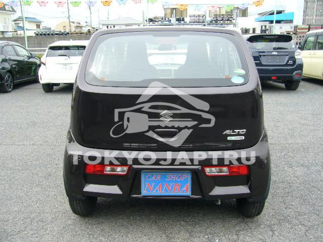Image 7