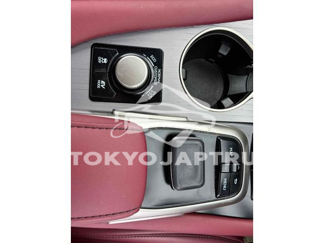 Image 10