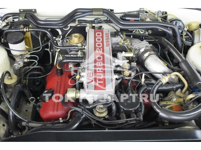Image 7