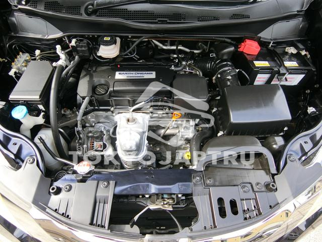 Image 19
