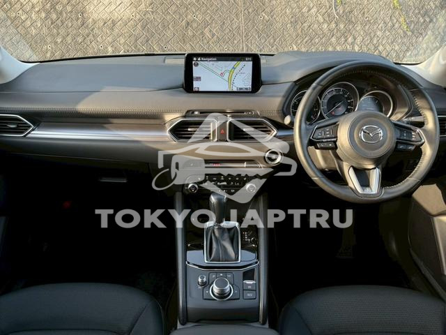 Image 5
