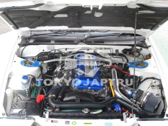 Image 7