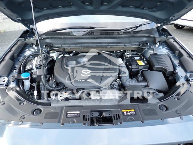 Image 11