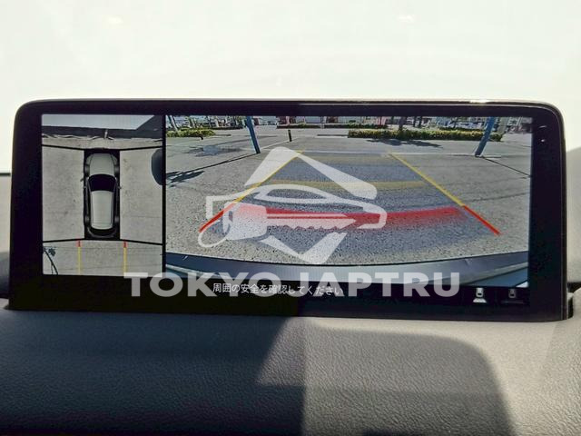 Image 10