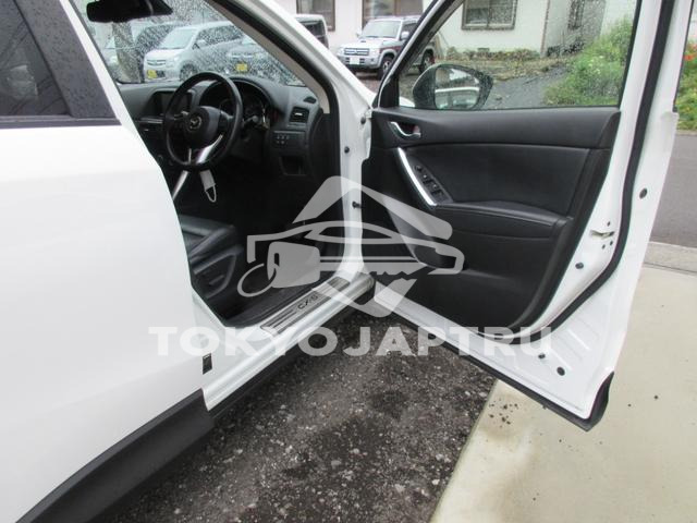 Image 11