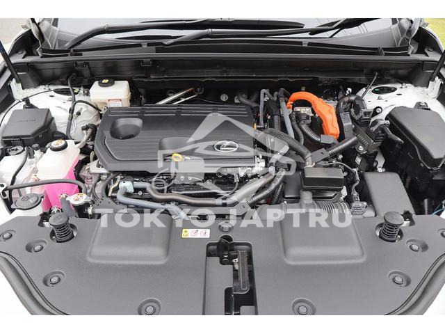 Image 19