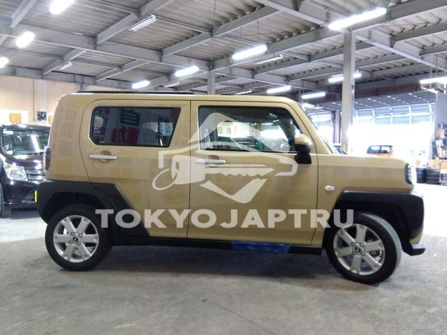 Image 7