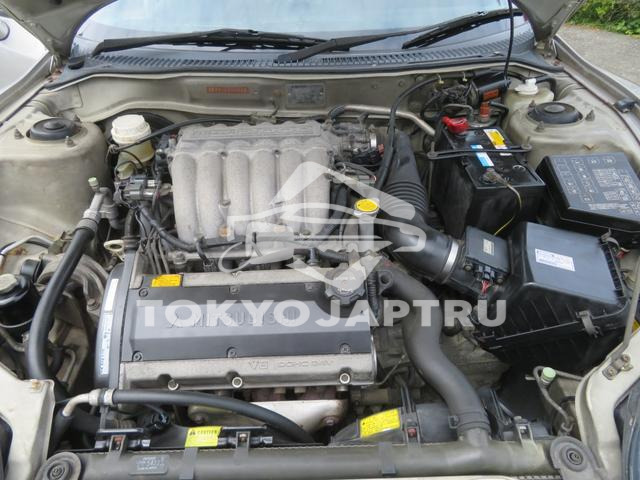 Image 8