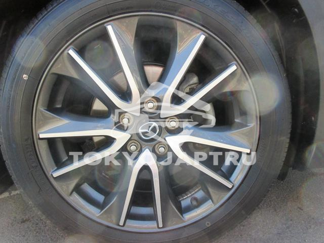 Image 7