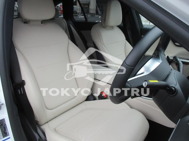 Image 19