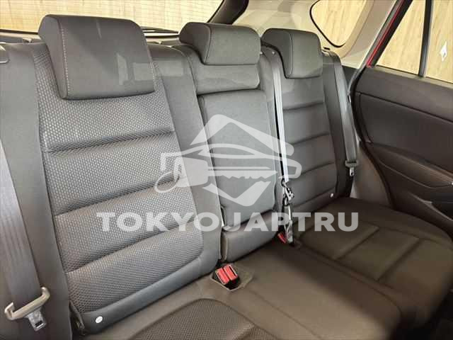 Image 10