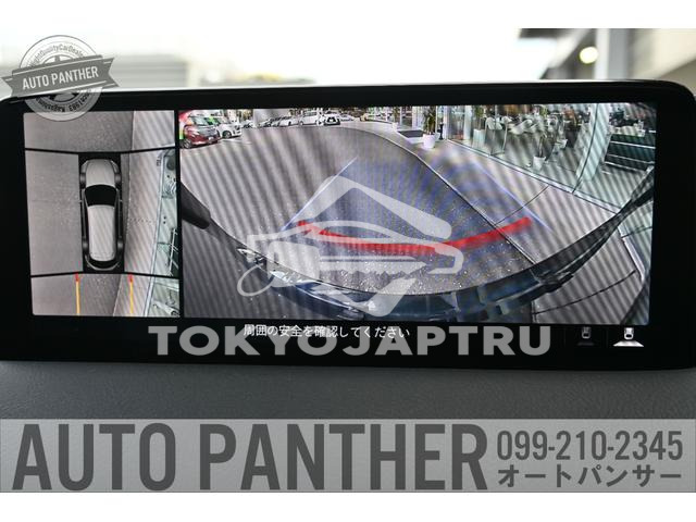 Image 14