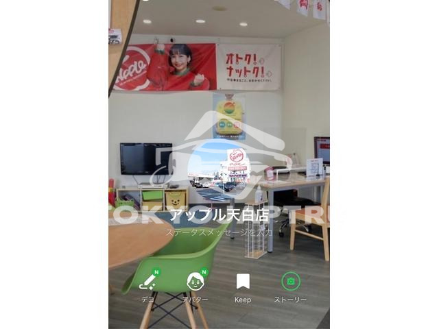 Image 8