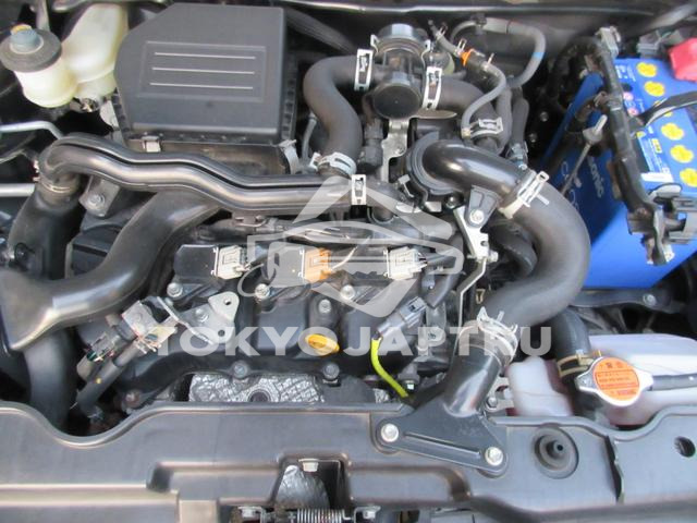 Image 15