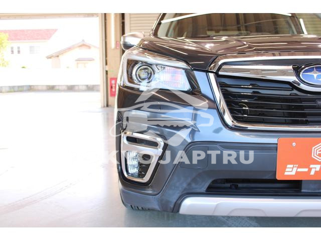 Image 17