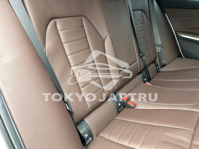 Image 15