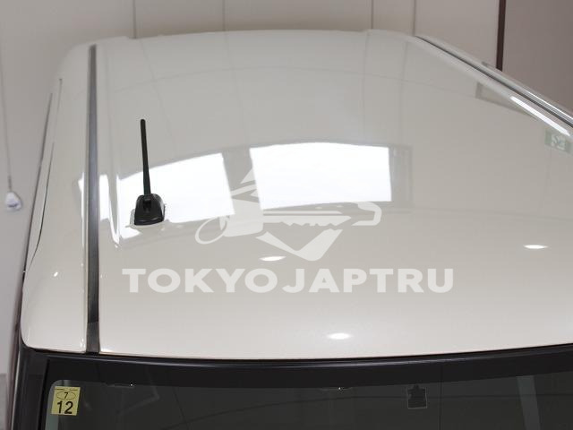 Image 10