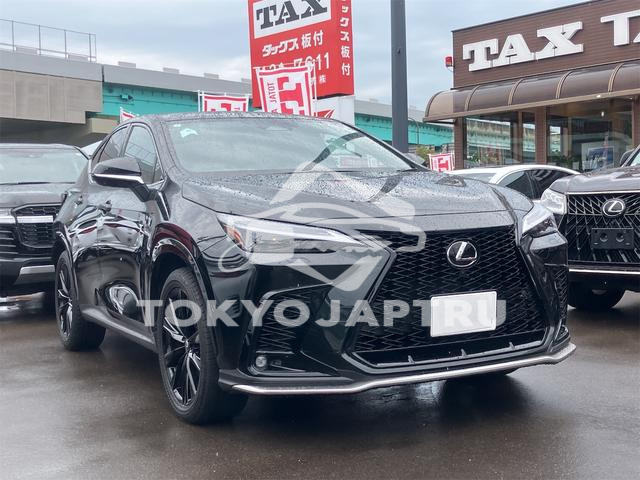Image 16