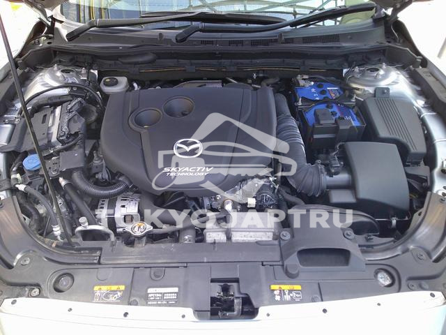 Image 9
