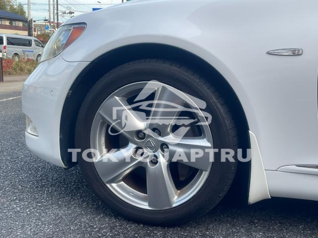 Image 8