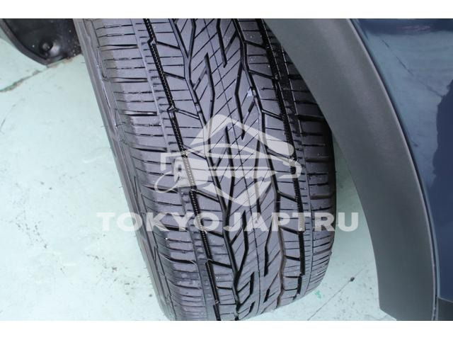 Image 8